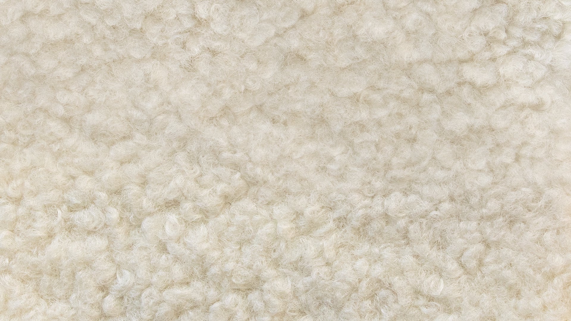 Swatch Shearling - Sundays Company CanadaSWA-EW-4SHORTSHEARLING