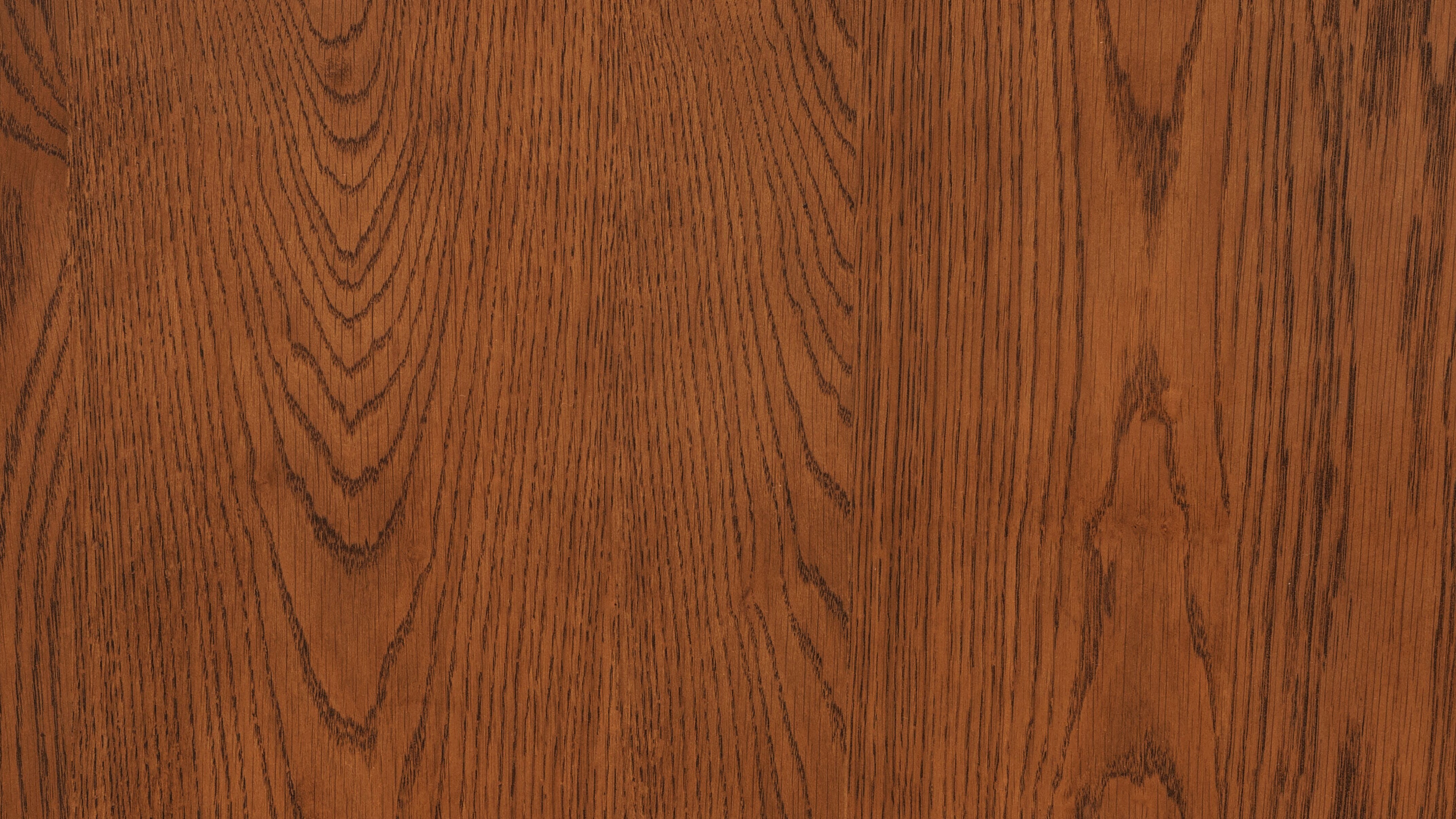 Form Storage Bed, Queen, Stained Walnut - Sundays Company CanadaBED-JU-001-116-0
