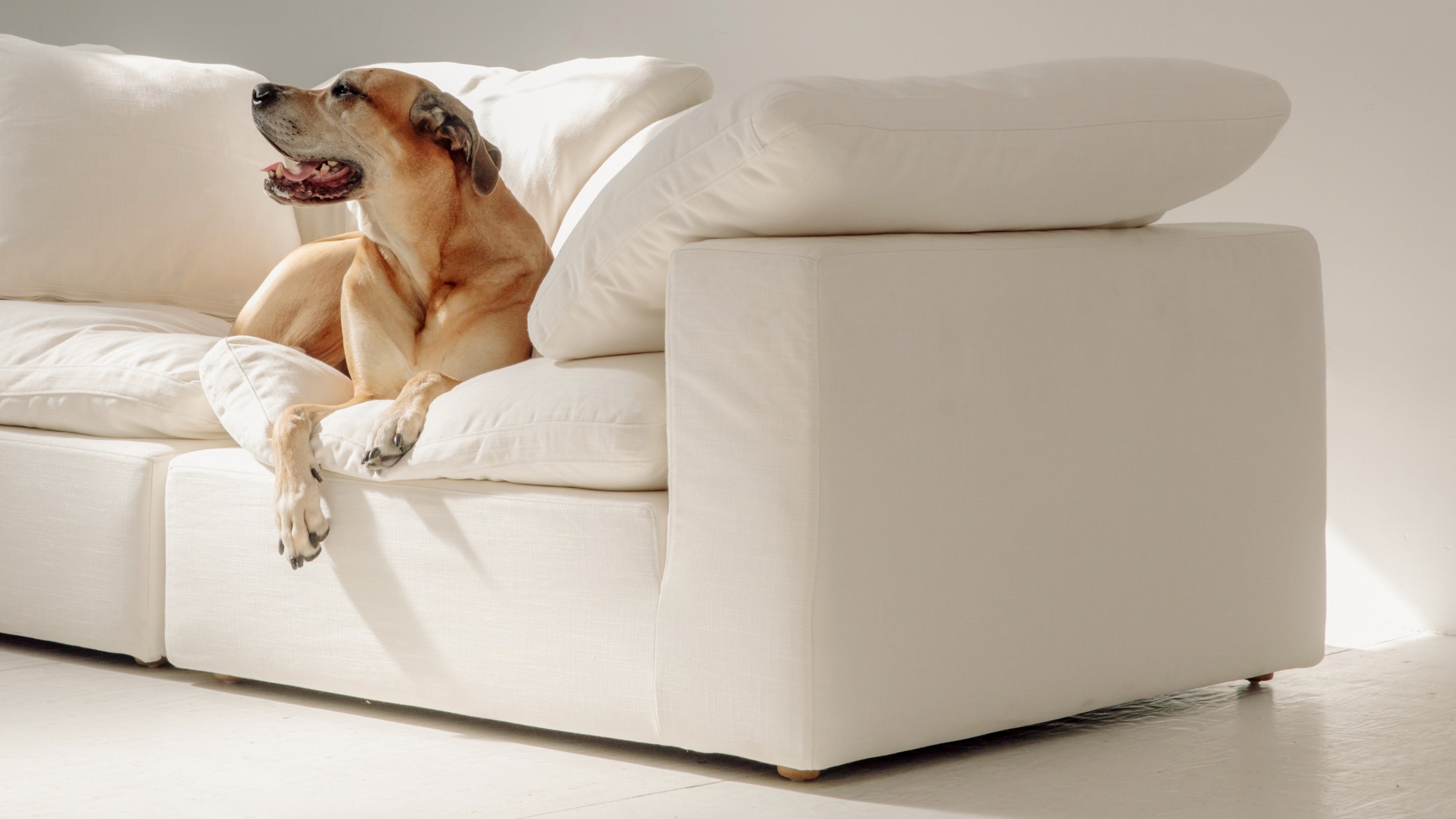Movie Night™ Corner Chair, Large, Cream Linen (Left or Right) - Sundays Company CanadaCOR-YJ-904-018
