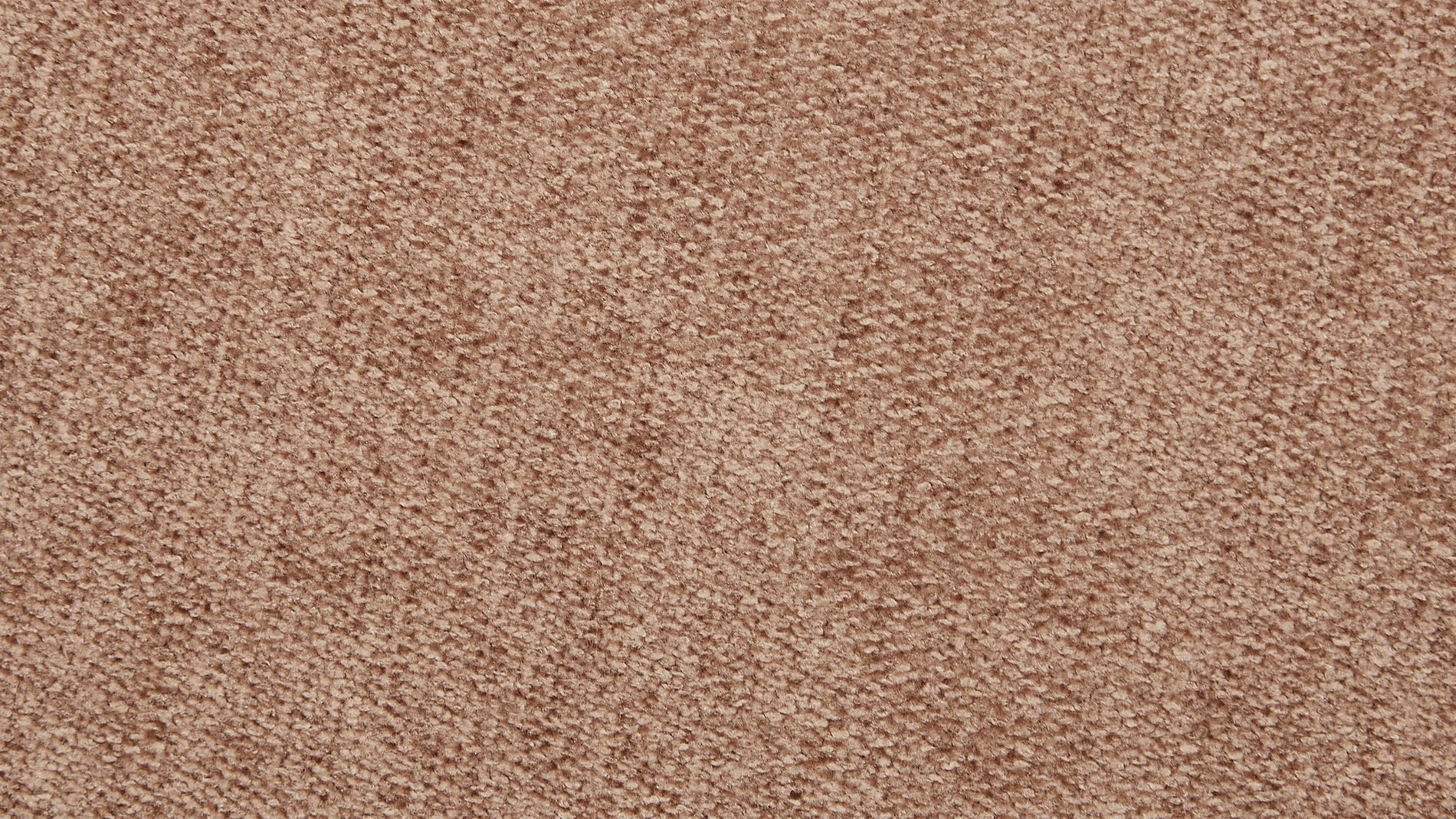 Swatch Caramello, LiveLife™ Performance Fabric_image