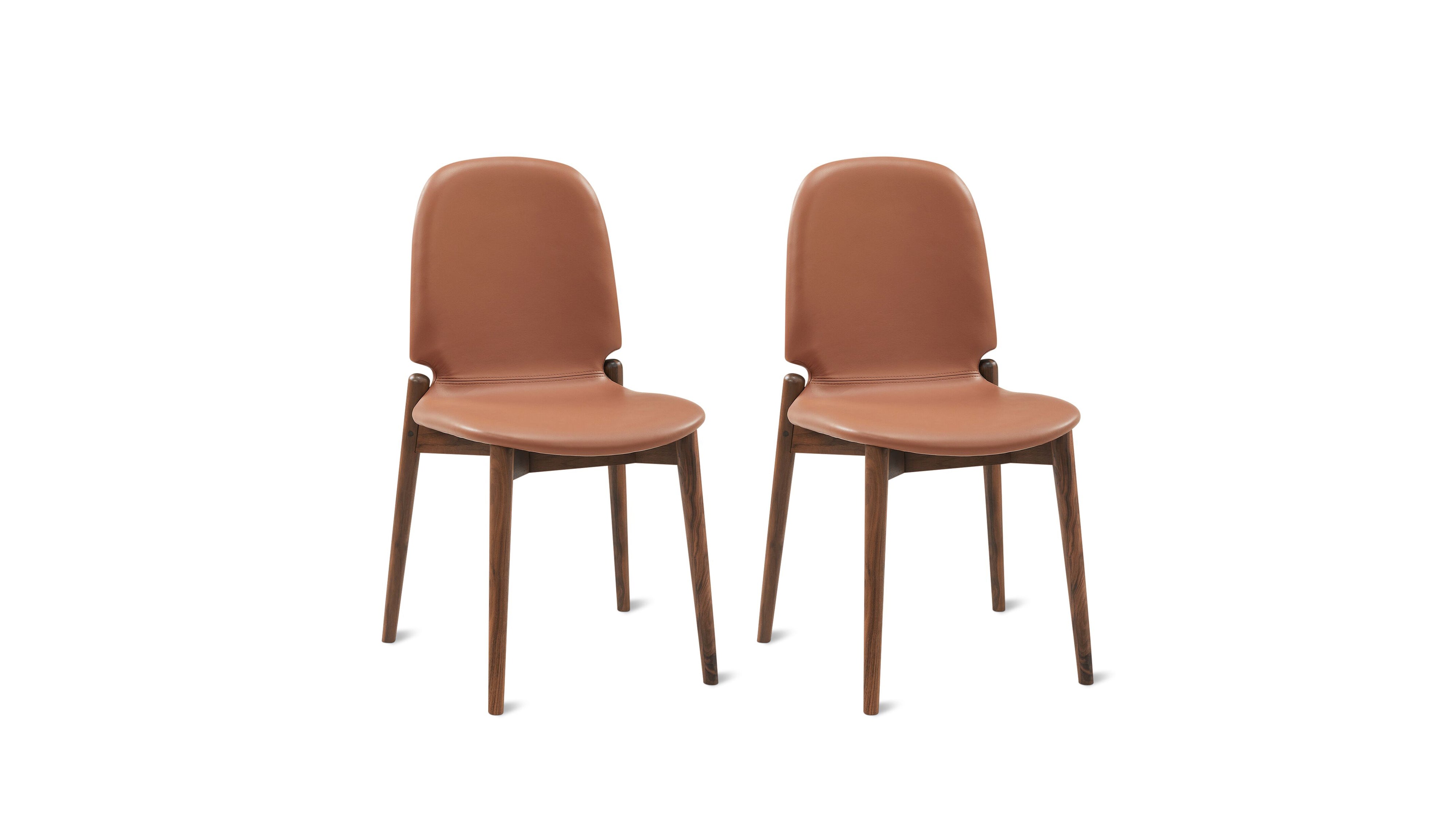 Dine In Dining Chair (Set Of Two), Walnut/Pecan - Sundays Company CanadaDNC-YC-001-003