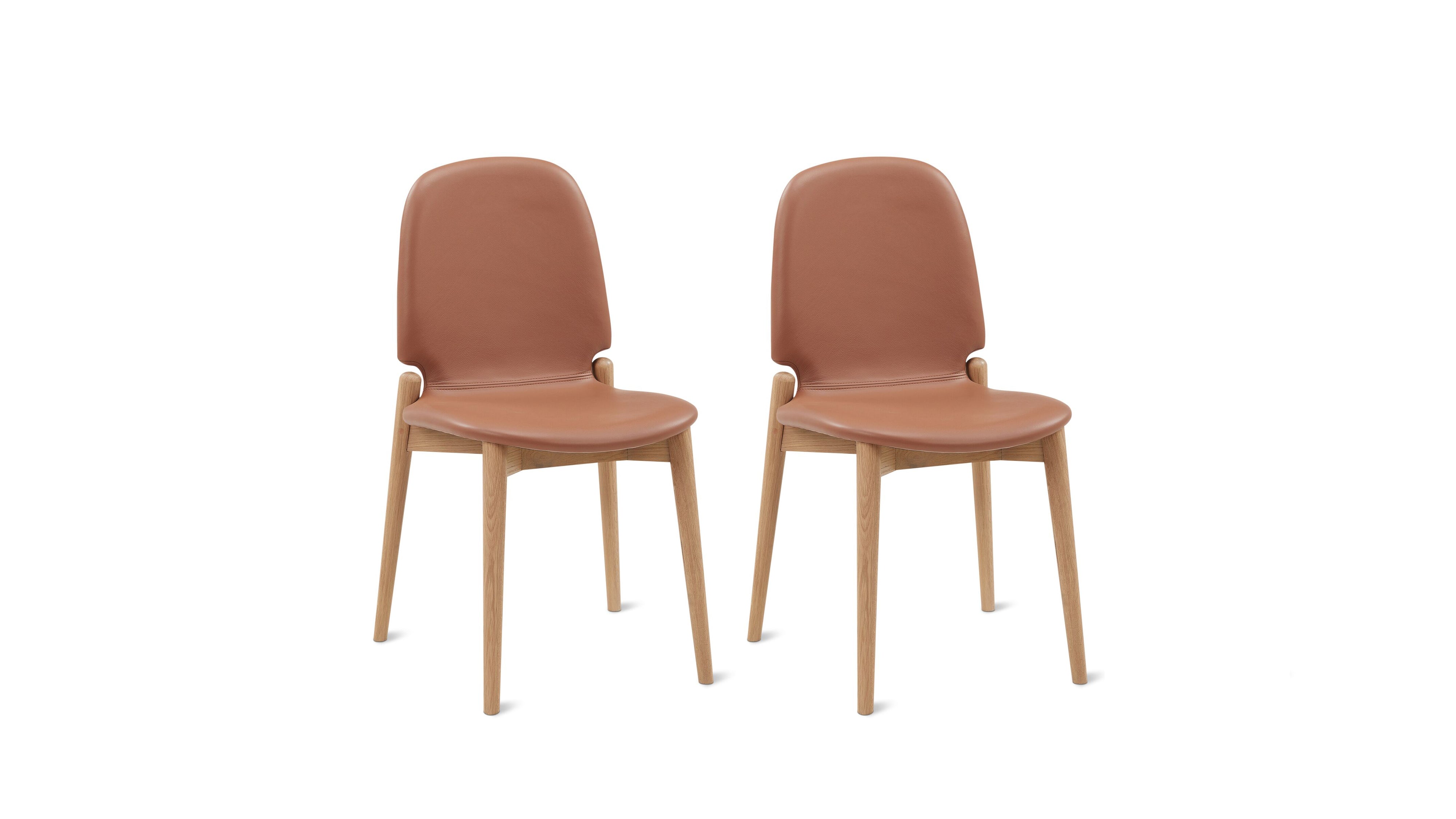 Dine In Dining Chair (Set Of Two), Oak/Pecan - Sundays Company CanadaDNC-YC-001-024
