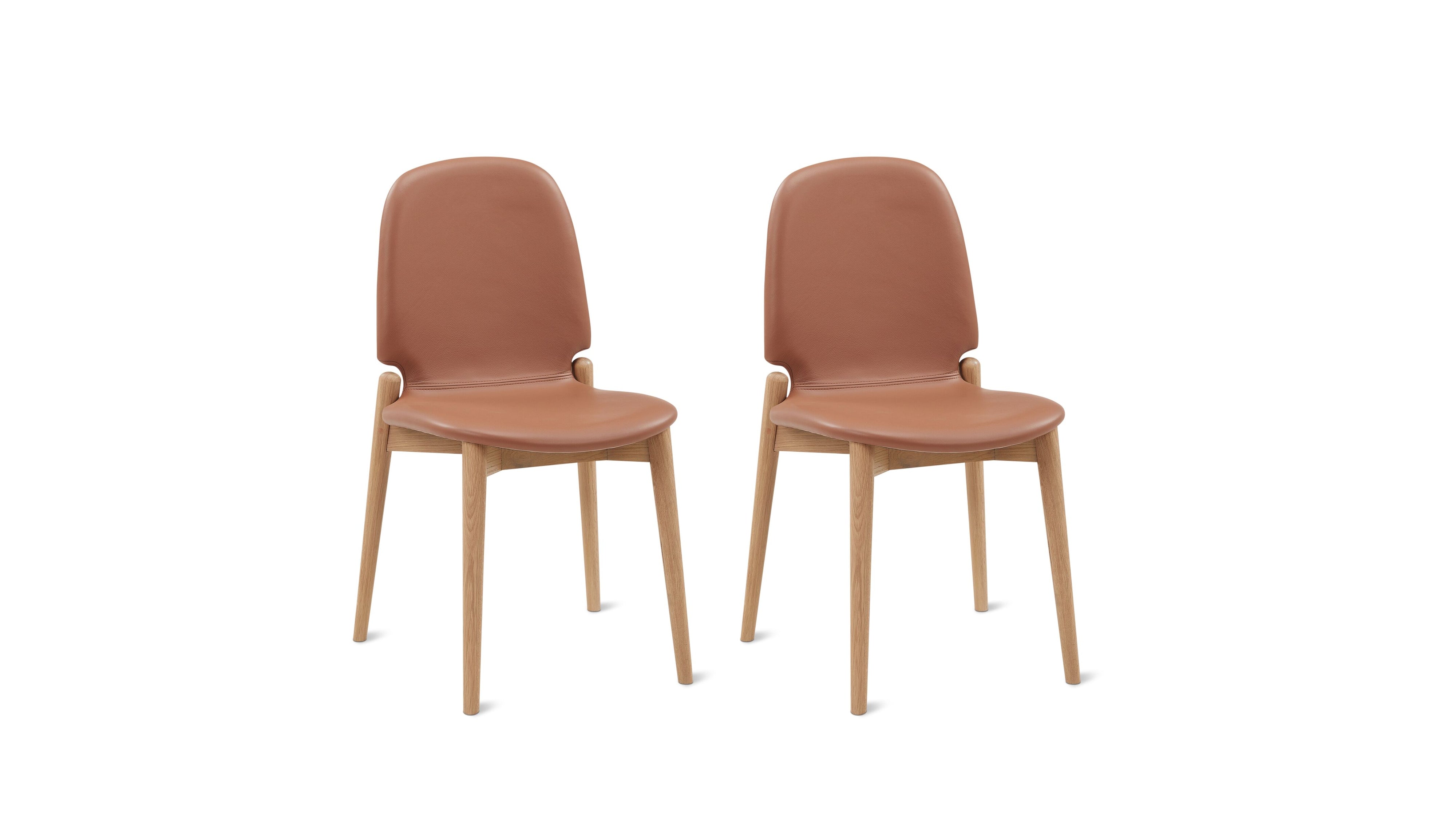 Dine In Dining Chair (Set Of Two), Oak/Pecan