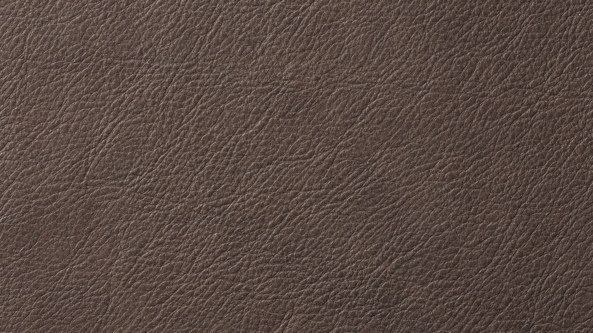 Swatch Cognac, Leather - Sundays CompanySWA - EWMT1901BRLC