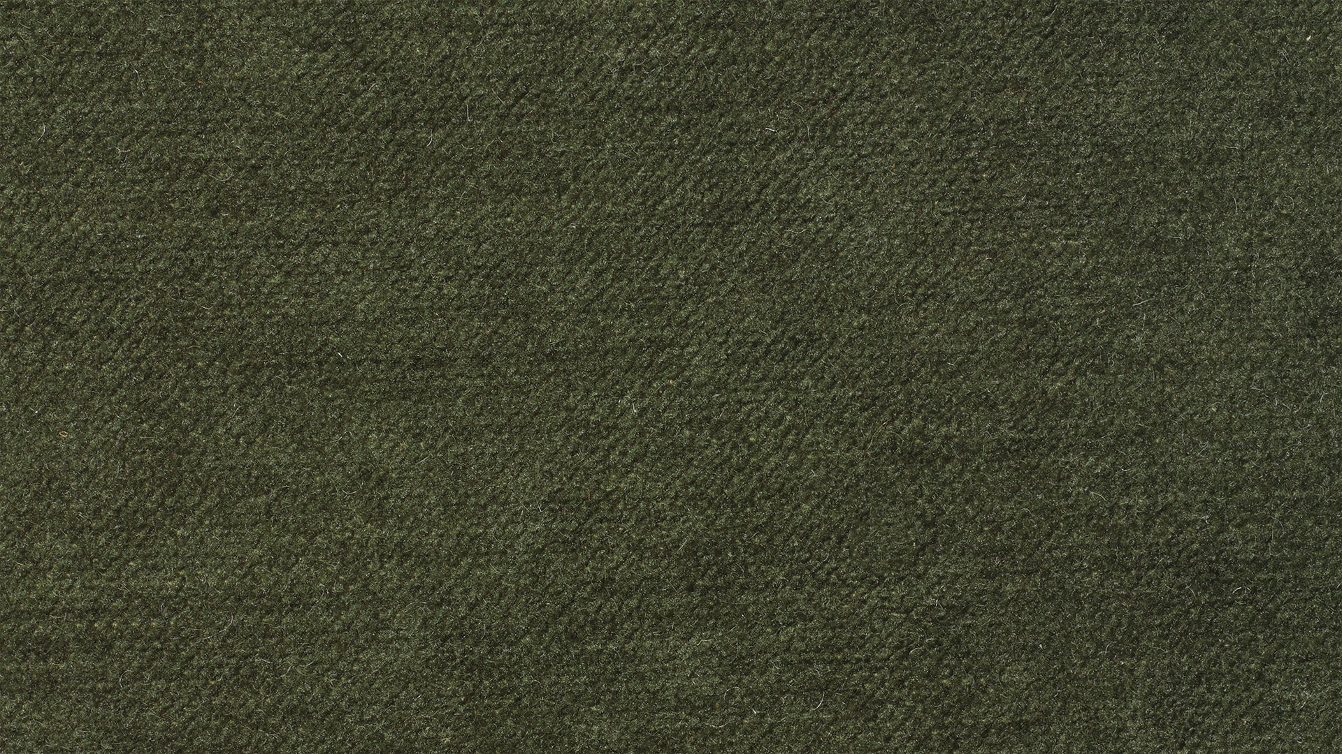 Swatch Moss, LiveLife™ Performance Fabric - Sundays CompanySWA - EW - EAGLECOLOR - 32