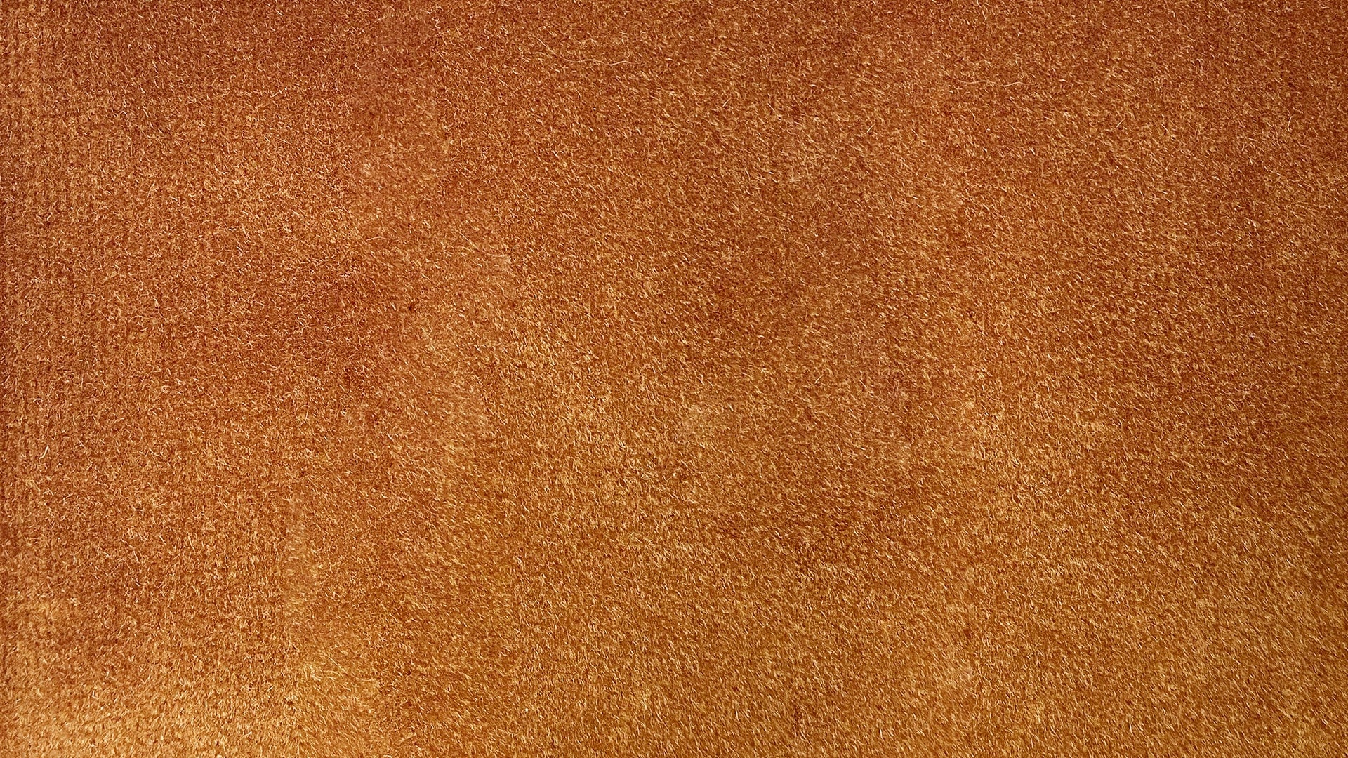 Swatch Butterscotch - Sundays Company CanadaSWA-HO-COTTONVELVETCARAMEL