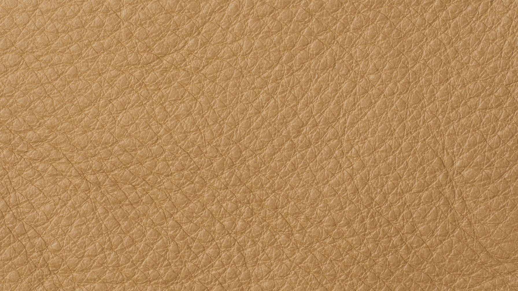 Swatch - Camel - Sundays Company CanadaSWA-HO-TOGOCAMEL