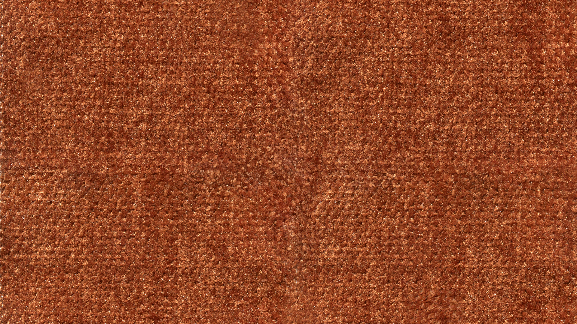 Swatch Harvest - Sundays CompanySWA - JM - DANNY038