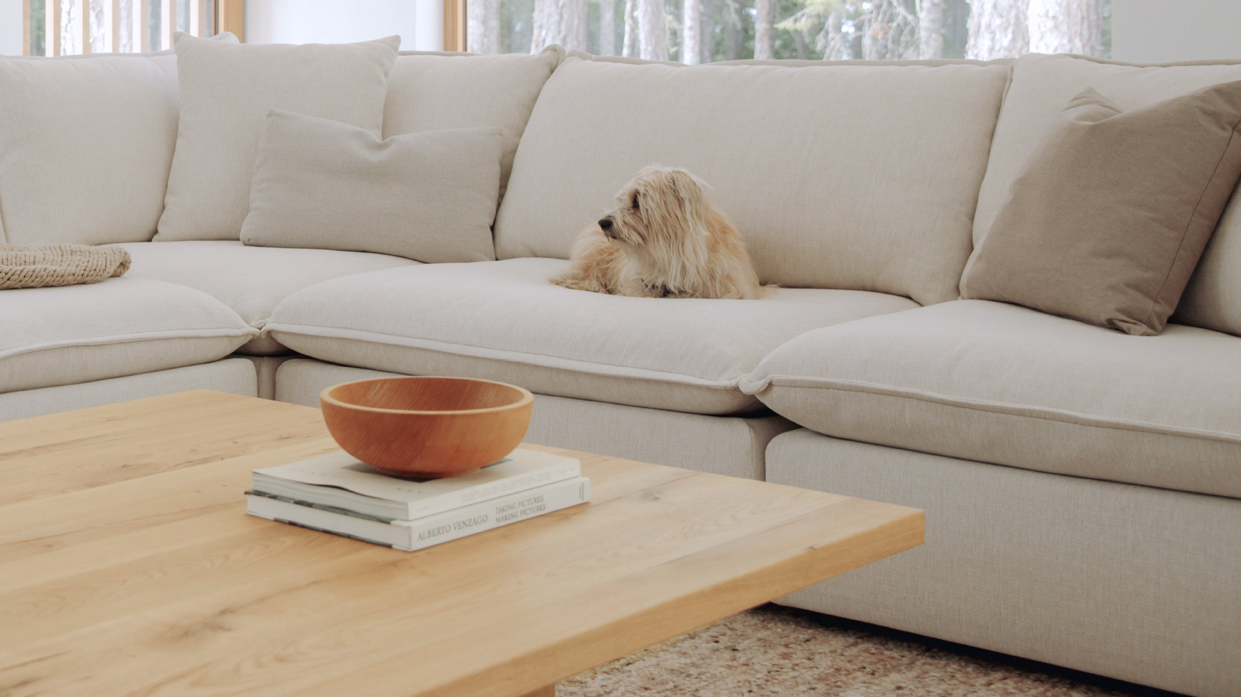 Chill Time 4-Piece Modular Sectional Closed, Birch