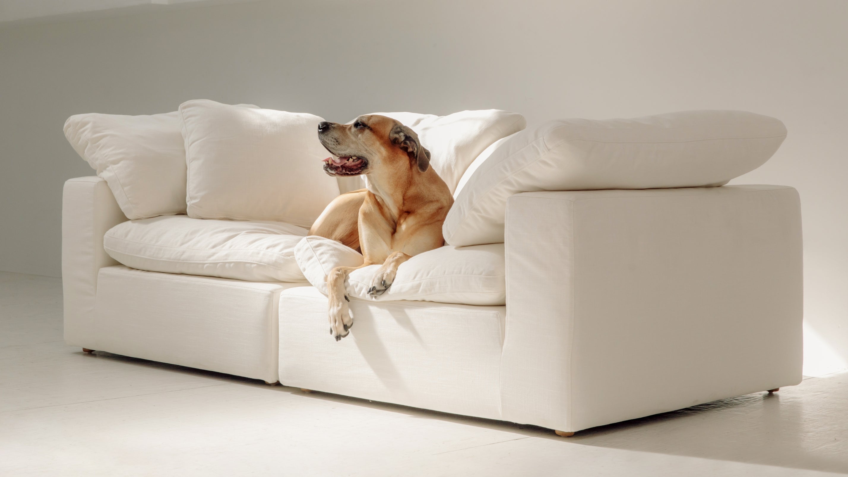 Movie Night™ 2-Piece Modular Sofa, Standard, Cream Linen