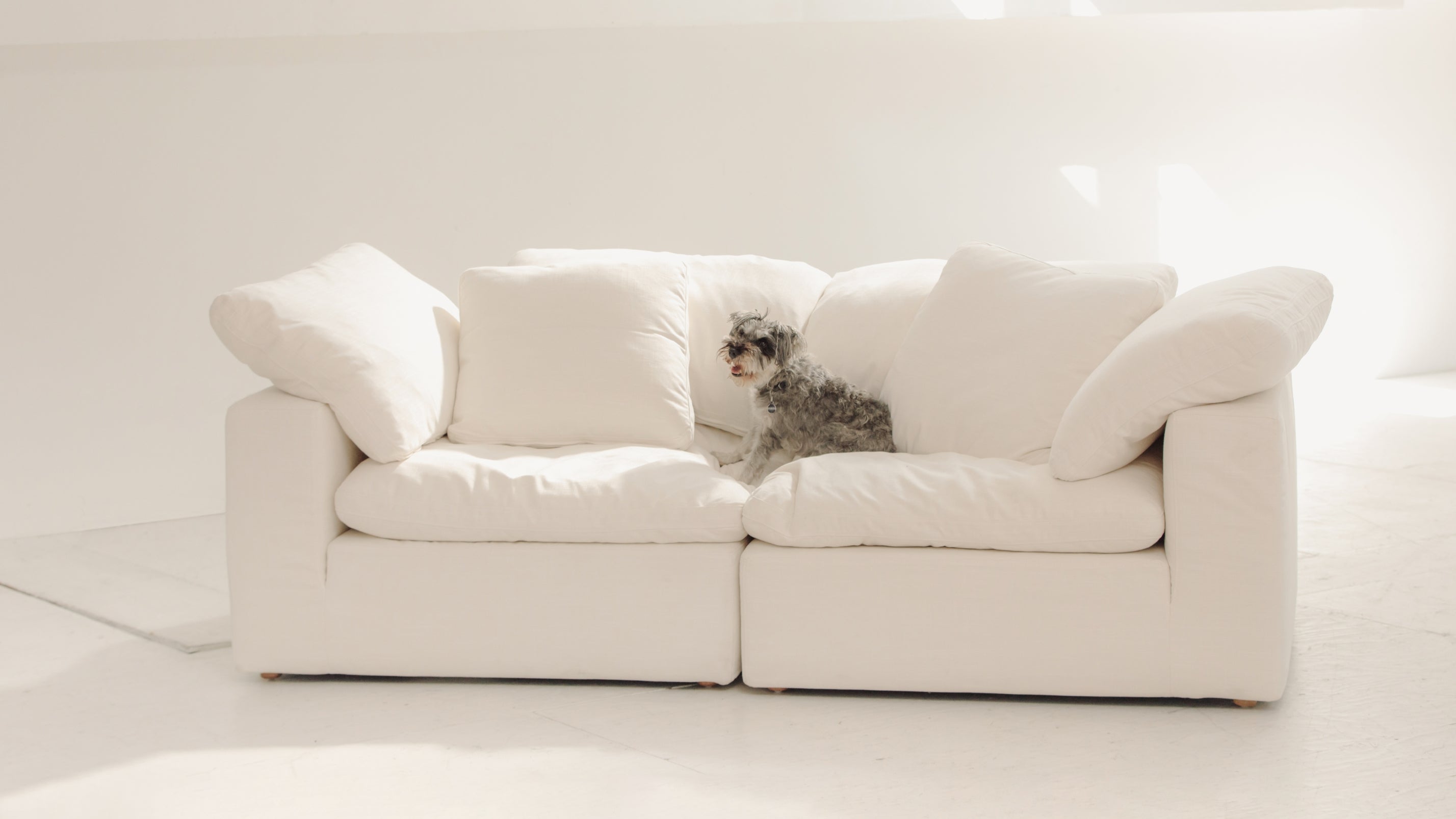 Movie Night™ 2-Piece Modular Sofa, Standard, Cream Linen
