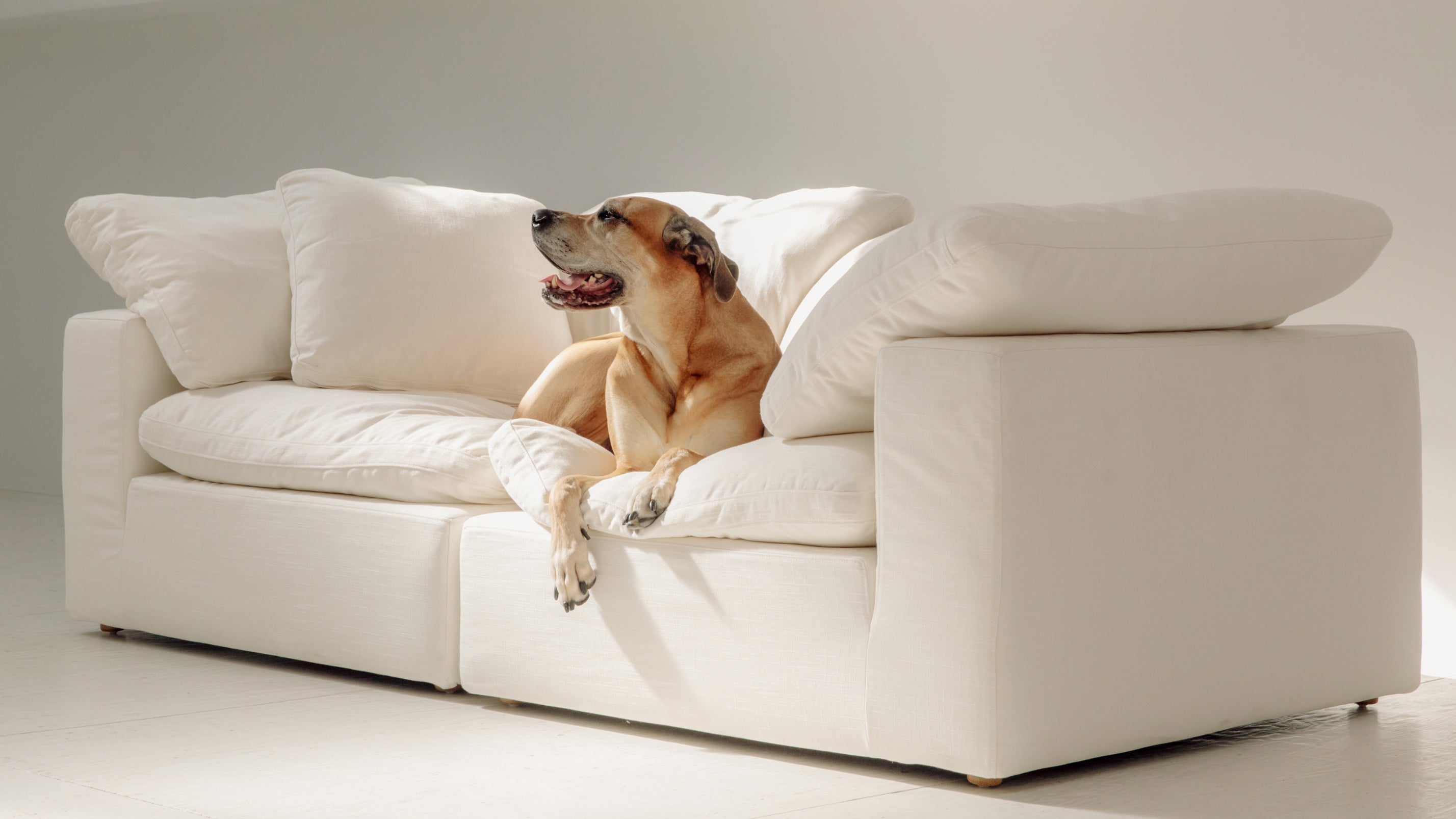 Movie Night™ 2 - Piece Modular Sofa, Large, Champagne - Sundays Company CanadaSEC-YJ-918-041