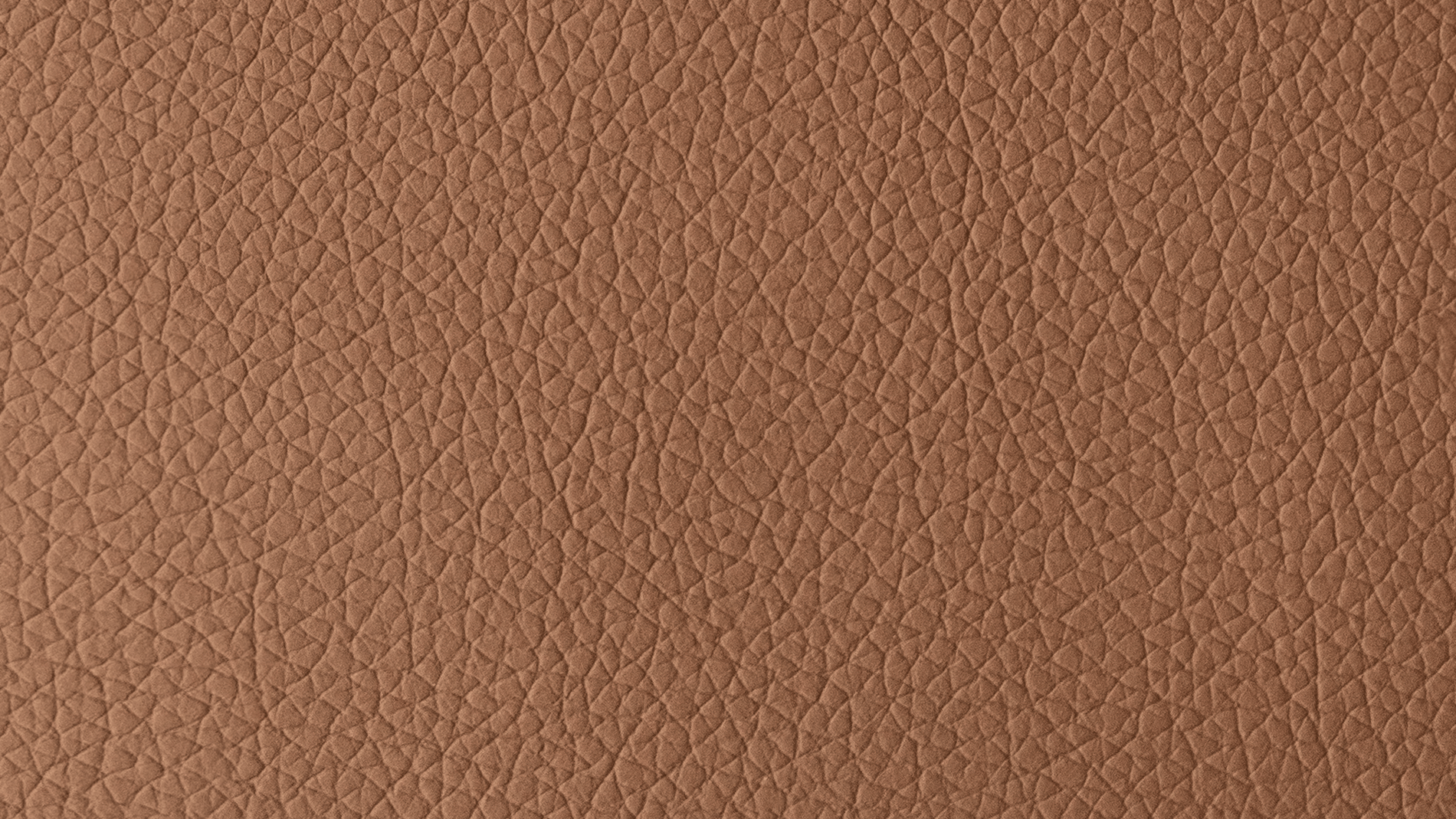 Swatch Brown_image