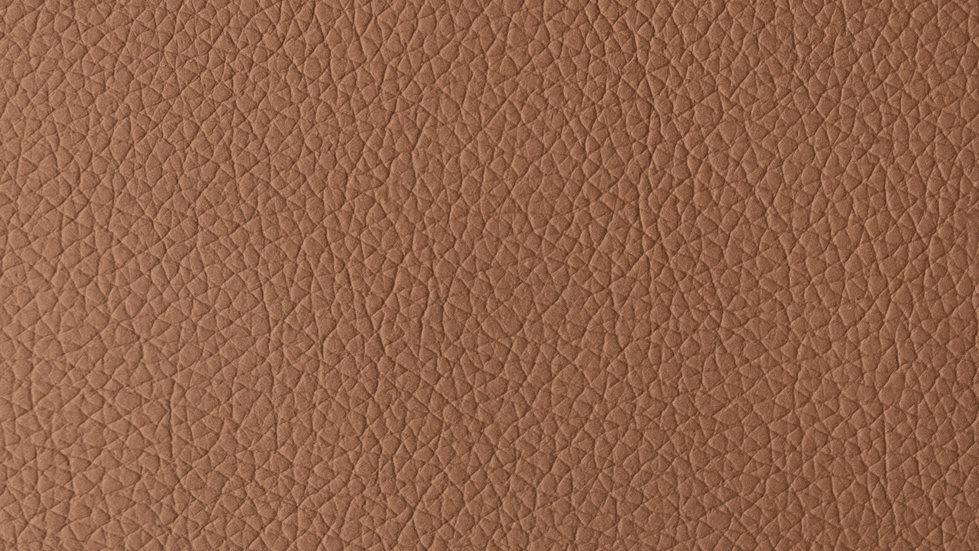 Swatch Brown