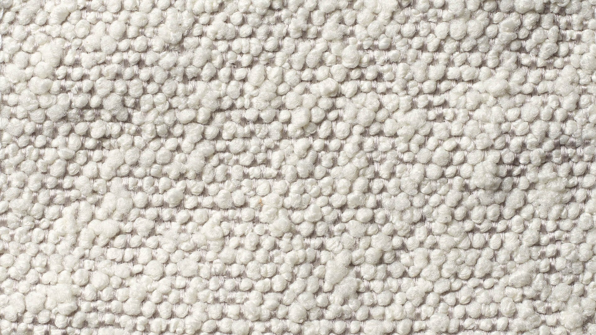 Swatch Warm Frost_image