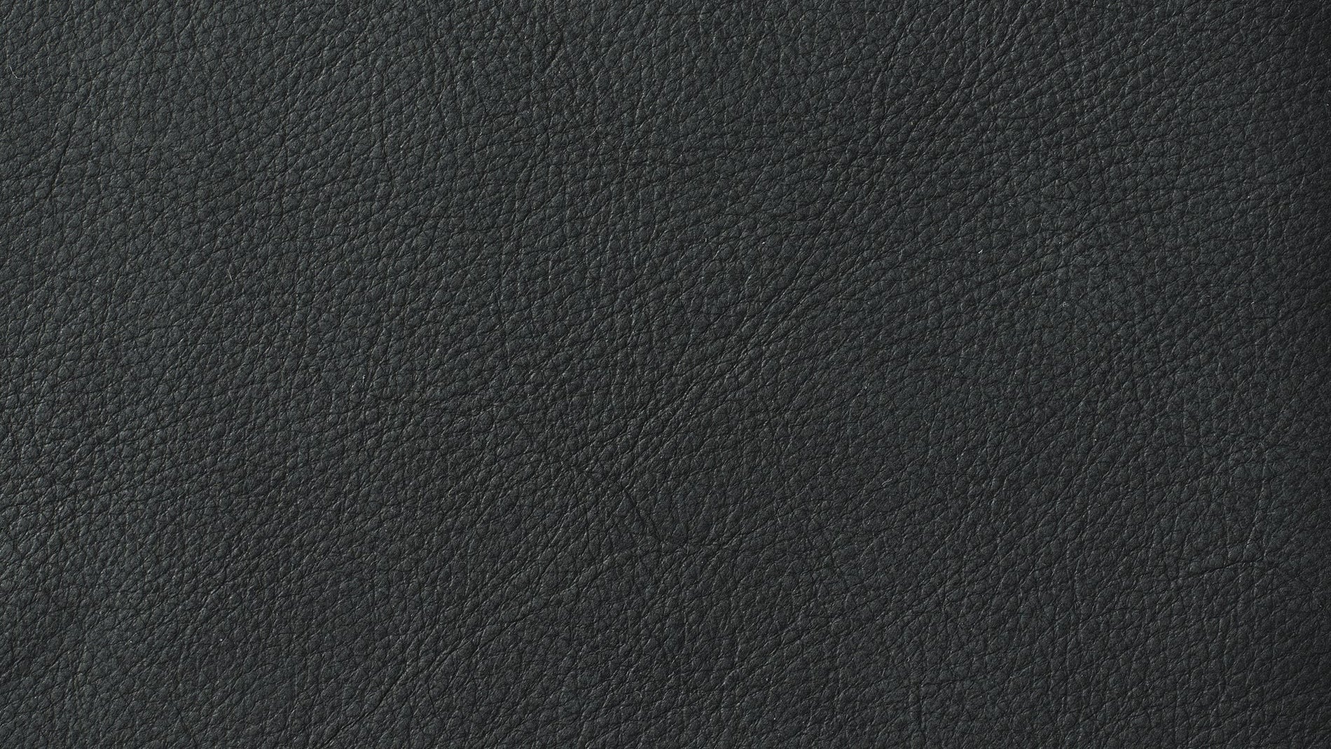 Swatch Coal, Leather_image