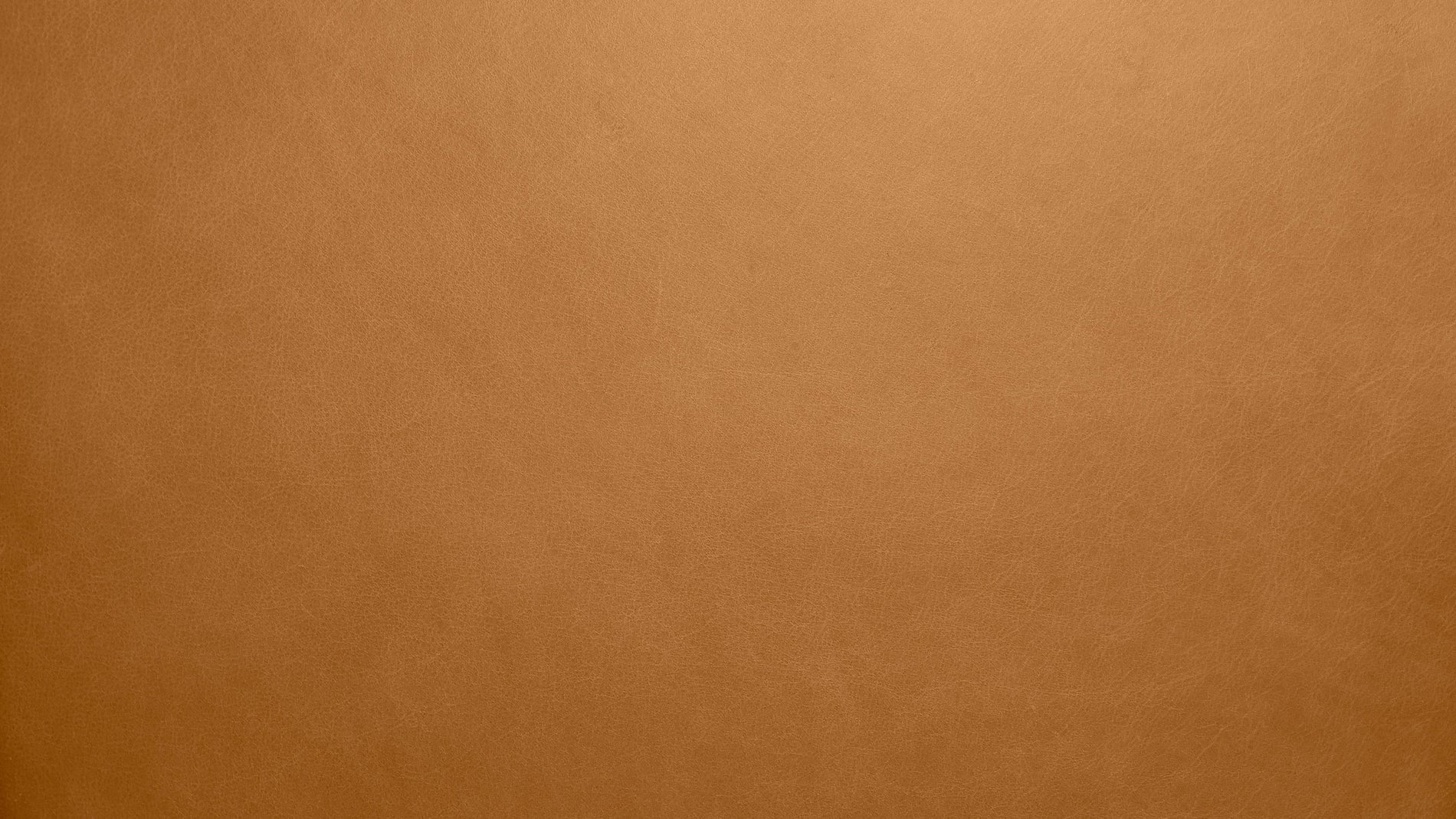 Swatch Golden Tan Leather_image