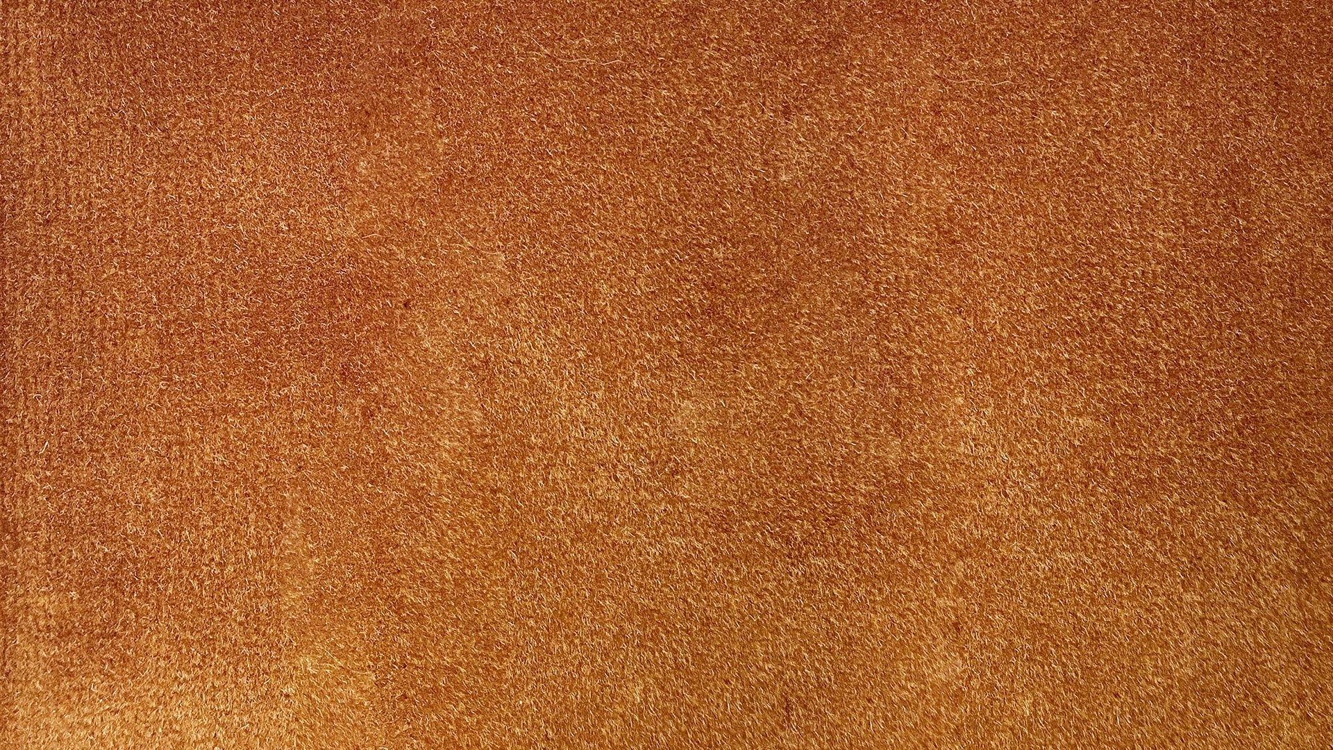 Swatch Butterscotch
