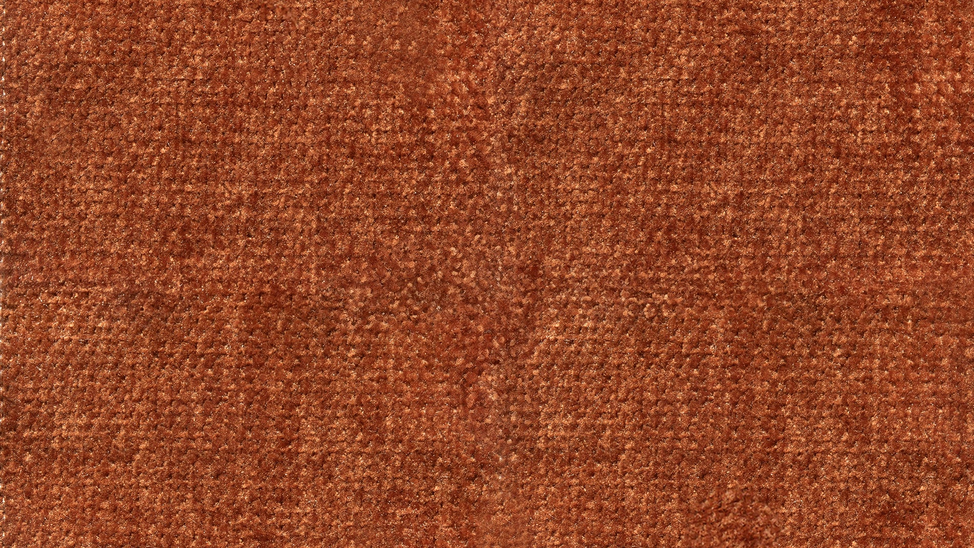 Swatch-Jm-Harvest_image