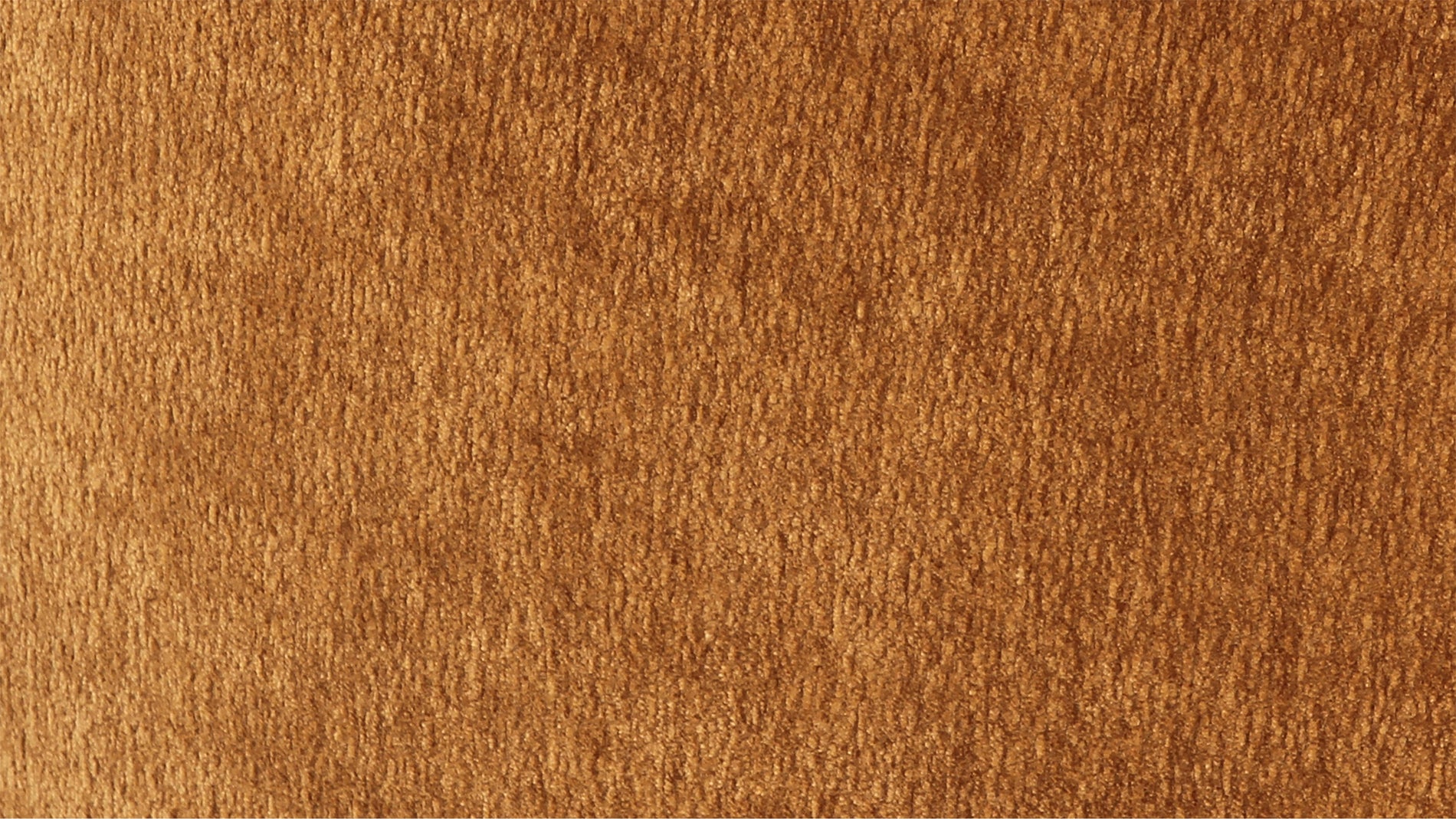 Swatch Caramel, LiveLife™ Performance Fabric_image