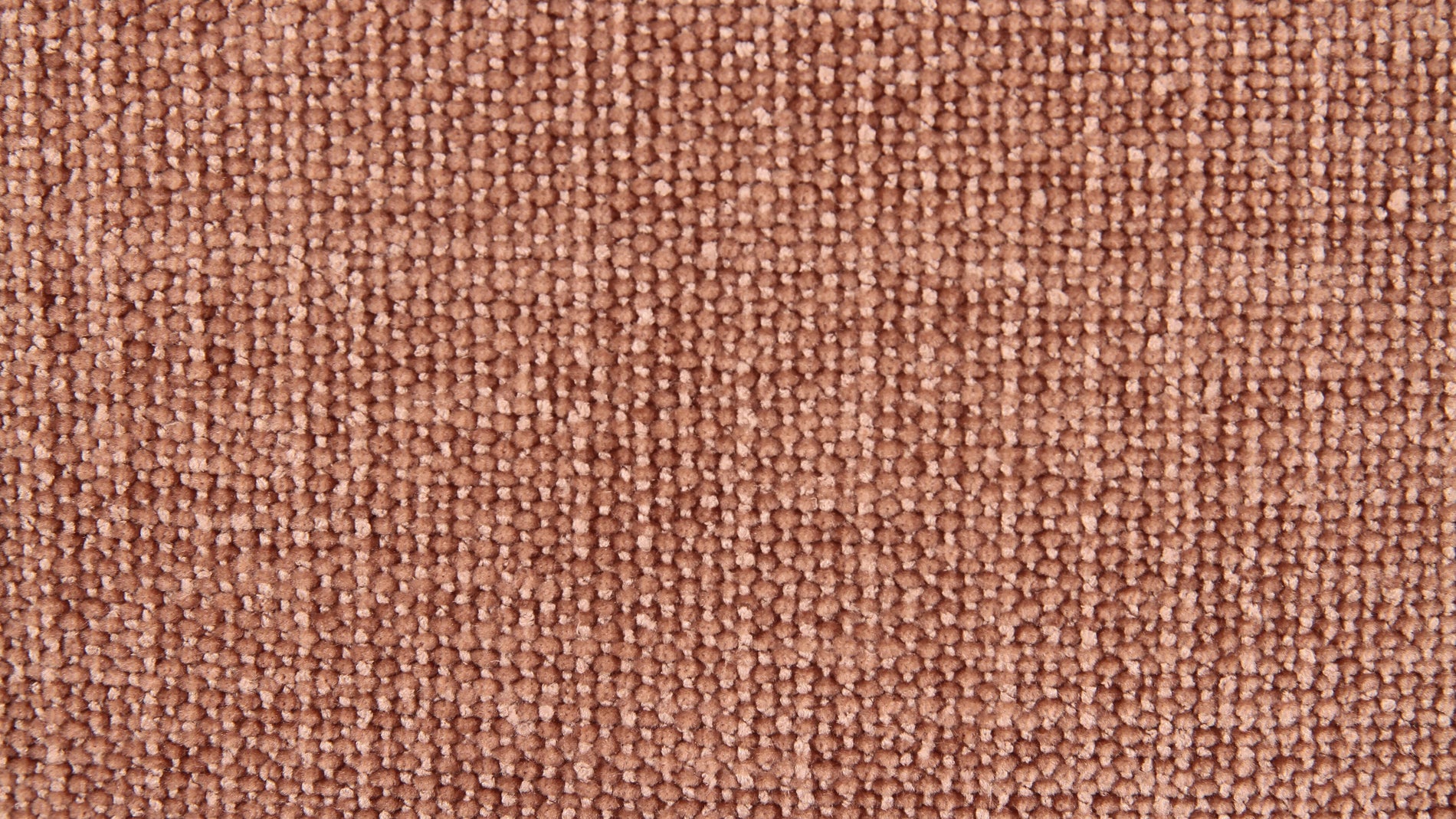Swatch Paloma_image