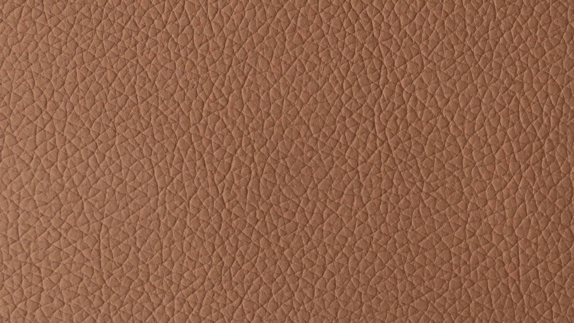 Swatch Brown_image