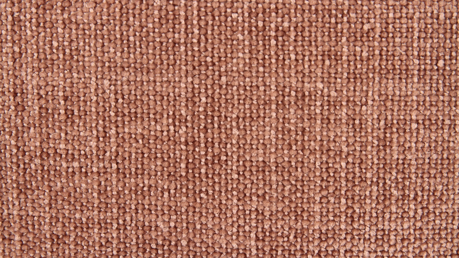 Swatch Paloma_image