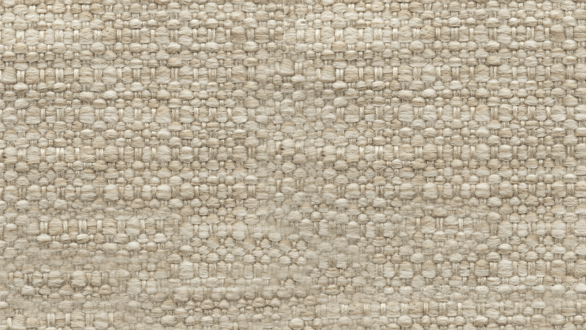 Swatch Biscuit_image